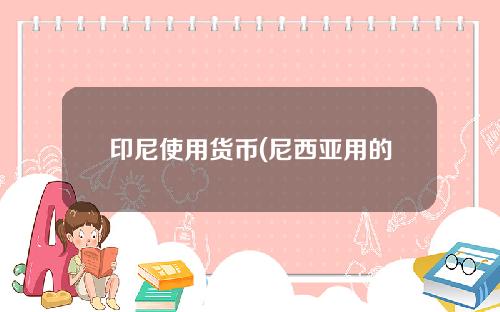 印尼使用货币(尼西亚用的什么钱)