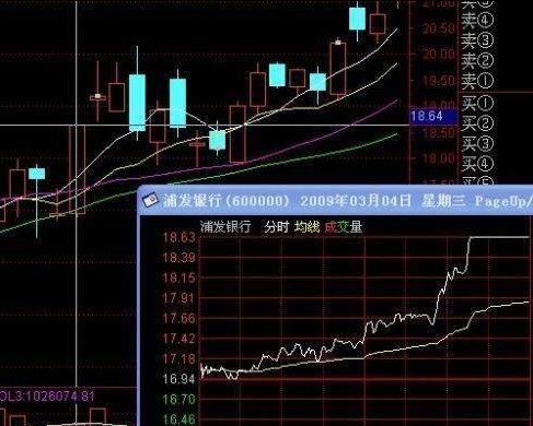 厦大女博士罕见发声：股价已经跌到了历史新低，为什么主力依旧低位出货？对股民最真诚的劝告