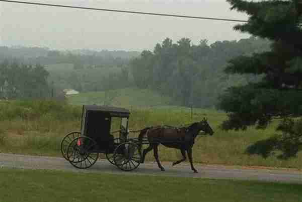 拒绝现代文明的Amish群体为何还能在美国立足？