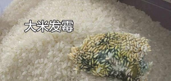 一文讲清：米面生虫了怎么办？还能不能吃？